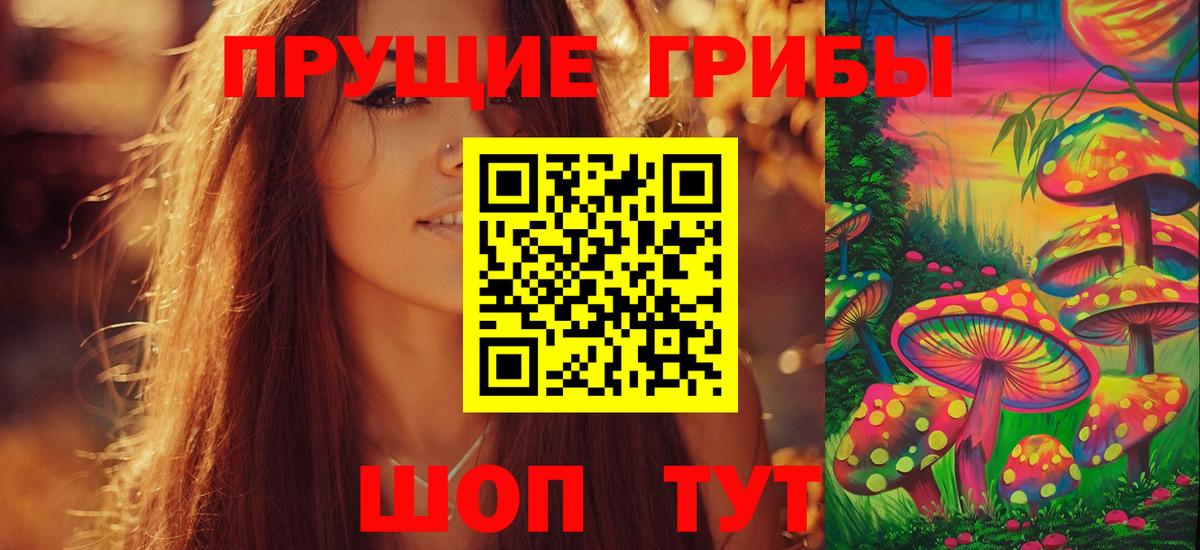 Алатырь  Псилоцибиновые грибы Psilocybine cubensis  Вход с VPN 